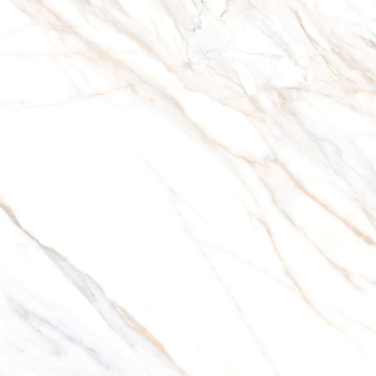 Aurum Calacatta Polished 36 x 36